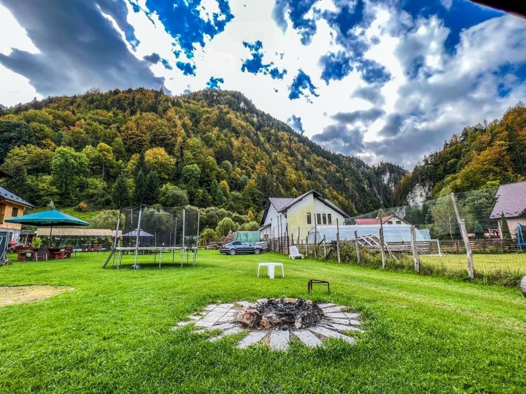 Hotel Casa Petruta Dambovicioara Podu Dimbovitei Exterior foto