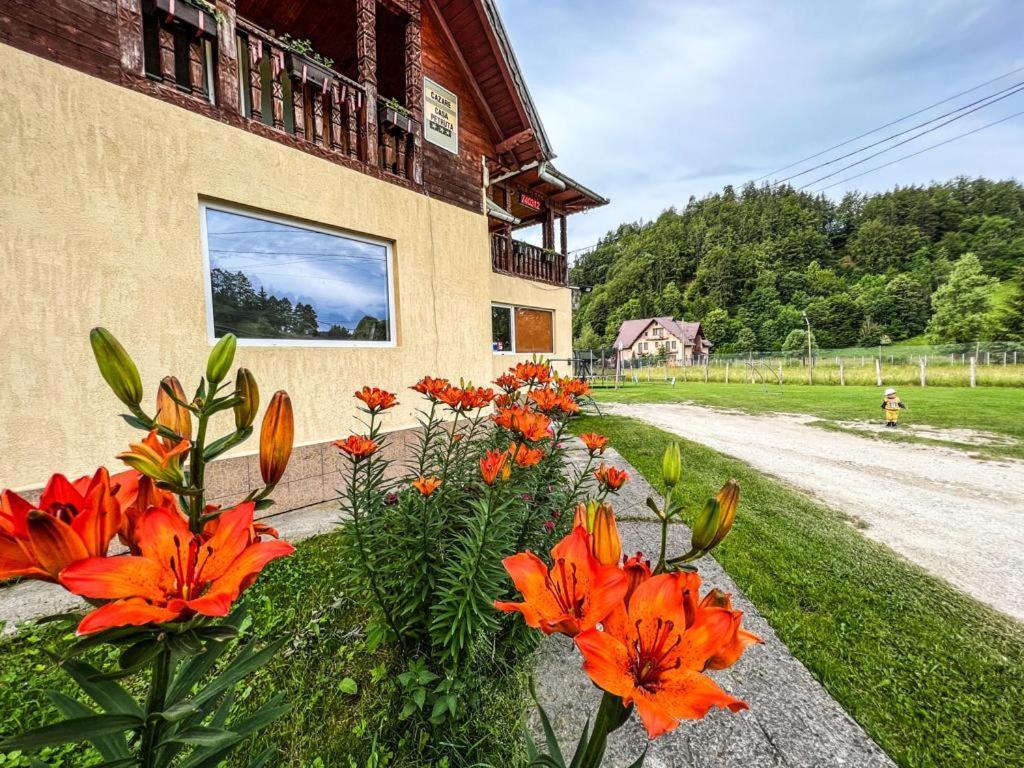 Hotel Casa Petruta Dambovicioara Podu Dimbovitei Exterior foto